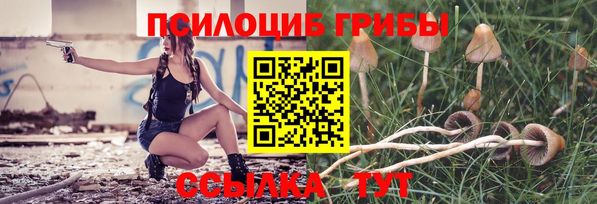 Псилоцибиновые грибы мухоморы Лыткарино
